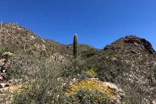 7296 E Stone Canyon Dr, Tucson, AZ 85750 - Photo 11