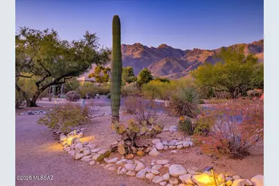 8234 E Big Horn Trail, Tucson, AZ 85750 - Photo 21