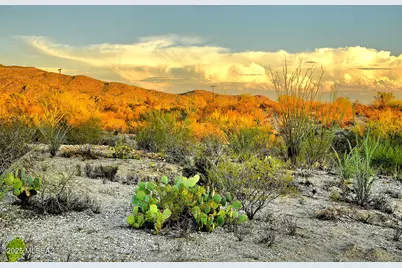 4075 Saguaro Monument Place #16, Tucson, AZ 85730 - Photo 9