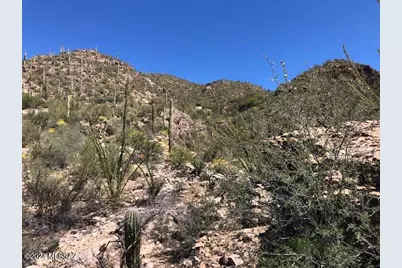 7296 Stone Canyon Drive, Tucson, AZ 85750 - Photo 19
