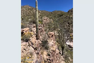 7296 Stone Canyon Drive, Tucson, AZ 85750 - Photo 25