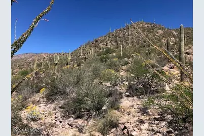 7296 Stone Canyon Drive, Tucson, AZ 85750 - Photo 15