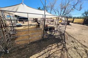 15246 Carlburg Ave, Tucson, AZ 85736 - Photo 35