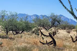 15246 Carlburg Ave, Tucson, AZ 85736 - Photo 33