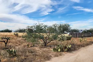 15246 Carlburg Ave, Tucson, AZ 85736 - Photo 13