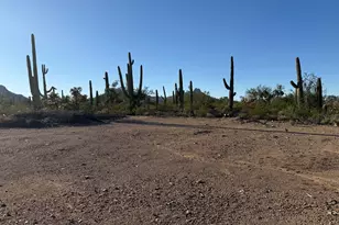 6700 W Calle De Mi Jazmin, Tucson, AZ 85743 - Photo 45