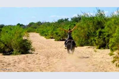 2842 N Melpomene Way, Tucson, AZ 85749 - Photo 9