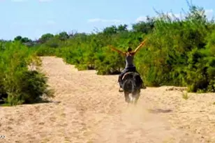 2842 N Melpomene Way, Tucson, AZ 85749 - Photo 9