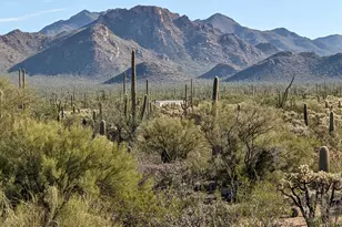 12690 W Fort Lowell Rd, Tucson, AZ 85743 - Photo 5