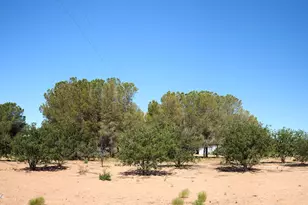 285 W Red Dog Rd, Portal, AZ 85632 - Photo 11