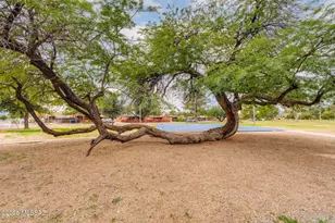 909 S Catalina Ave, Tucson, AZ 85711 - Photo 41