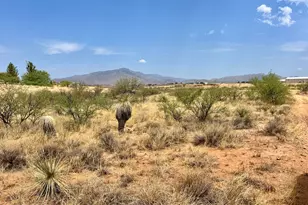 Tbd Carina Circle, Benson, AZ 85602 - Photo 1