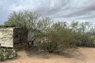 6355 N Desert Trail Rd, Tucson, AZ 85743 - Photo 11