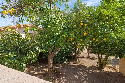 8513 N Nob Hill Drive, Tucson, AZ 85742 - Photo 37