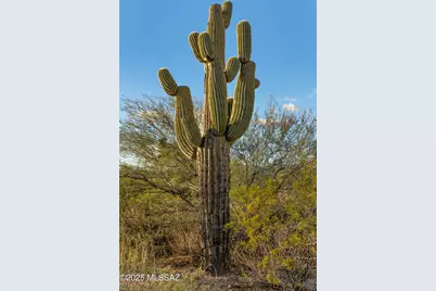 10845 N Summer Moon Place, Tucson, AZ 85737 - Photo 9