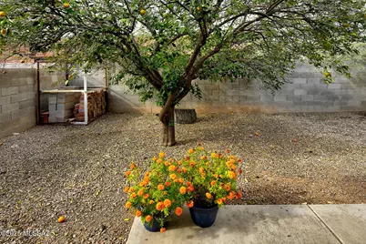 1661&amp;1663 N Catalina Avenue, Tucson, AZ 85712 - Photo 3