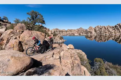 12925 N Phoenix Avenue, Mt. Lemmon, AZ 85619 - Photo 29