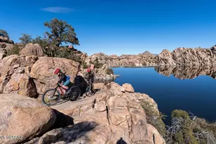 12925 N Phoenix Ave, Mt. Lemmon, AZ 85619 - Photo 29