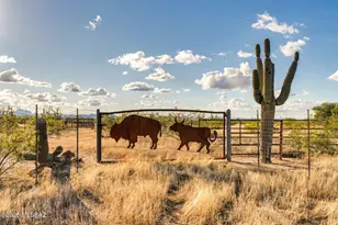 35603 S Marylynne Ln, Marana, AZ 85658 - Photo 45