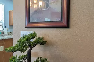 38973 S Tranquil Dr, Saddlebrooke, AZ 85739 - Photo 3