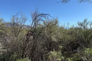 5751 N Kolb Rd, Tucson, AZ 85750 - Photo 11
