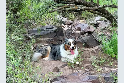 00 Proctor Lane #D-1, Patagonia, AZ 85624 - Photo 3