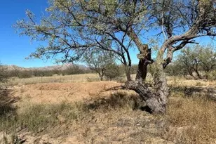 4742 E Dragoon Rd, Dragoon, AZ 85609 - Photo 49