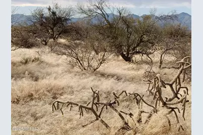 16040 Big Run Avenue #316, Tucson, AZ 85736 - Photo 1