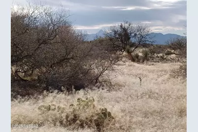 16040 Big Run Avenue #316, Tucson, AZ 85736 - Photo 3