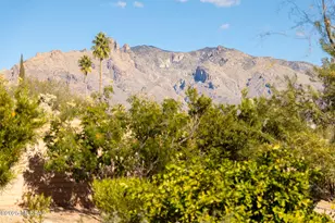 5671 N Placita Stilbayo, Tucson, AZ 85718 - Photo 33