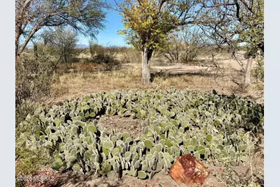 3069 N Easy Street, Cochise, AZ 85606 - Photo 49