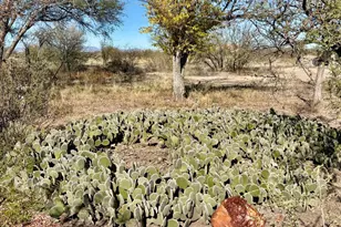 3069 N Easy St, Cochise, AZ 85606 - Photo 49