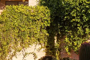 6971 E Calle Tolosa, Tucson, AZ 85750 - Photo 41