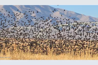 45 E Cochise Way, Cochise, AZ 85606 - Photo 35