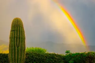 62896 E Thunder Rock Dr, Tucson, AZ 85739 - Photo 33