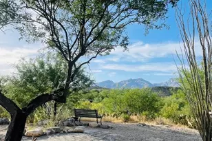 7021 E Rivercrest Rd, Tucson, AZ 85750 - Photo 3