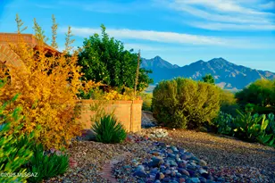 3845 S Via Del Reyecuelo, Green Valley, AZ 85622 - Photo 43