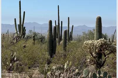 Tbd Parcel A Sandario Rd, Tucson, AZ 85743 - Photo 15