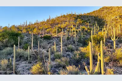 2661 Calle Sin Ruido #204, Tucson, AZ 85718 - Photo 3