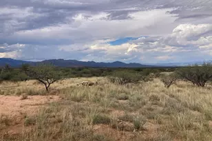 653 Mira Monte Rd, Benson, AZ 85602 - Photo 1