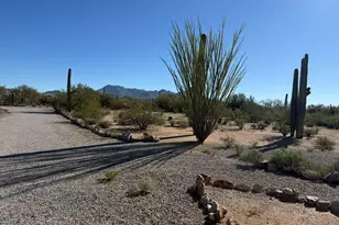 4615 N Sanders Rd, Tucson, AZ 85743 - Photo 29