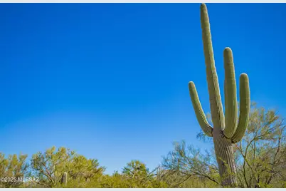 40679 Staghorn Lane #F, Marana, AZ 85658 - Photo 13