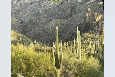 6655 N Canyon Crest Drive #4222, Tucson, AZ 85750 - Photo 15
