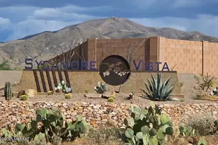 461 W Camino del Toro, Vail, AZ 85641 - Photo 37