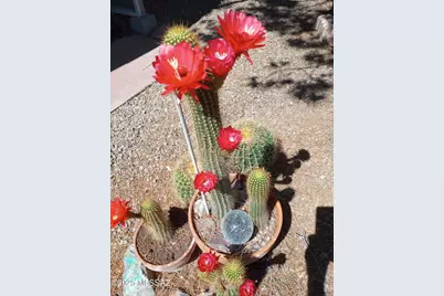 4529 E Bermuda Street, Tucson, AZ 85712 - Photo 31