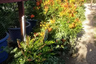 4529 E Bermuda St, Tucson, AZ 85712 - Photo 35