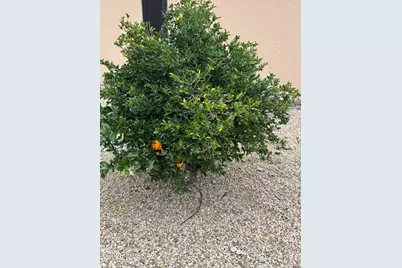 1434 W Hidden Crest Court, Green Valley, AZ 85622 - Photo 37