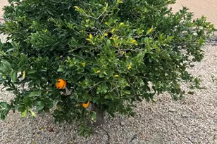 1434 W Hidden Crest Ct, Green Valley, AZ 85622 - Photo 37