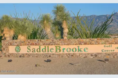 39038 S Casual Drive, Saddlebrooke, AZ 85739 - Photo 49