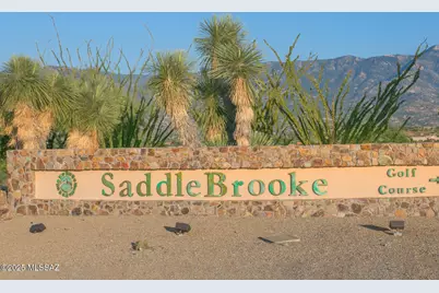 37234 S Vista Park Drive, Tucson, AZ 85739 - Photo 47